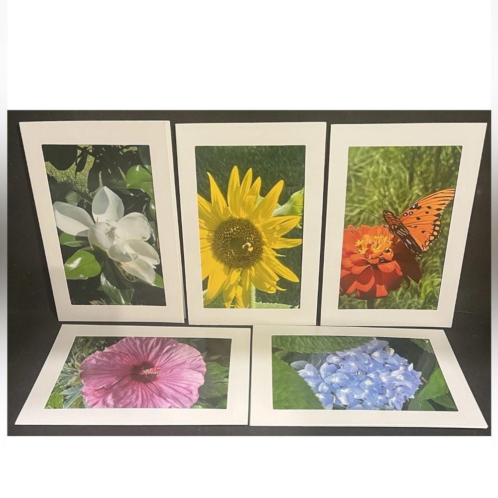 Lot Of 5 - 4 X 6 Self Taken Summer Blank Occasion / Greeting Cards  - Flowers